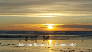 Copyright 2018 by Steve J Davis. All Rights Reserved https://starperformer.info